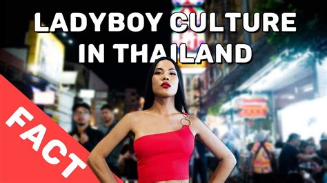 ladyboy essendon|Features